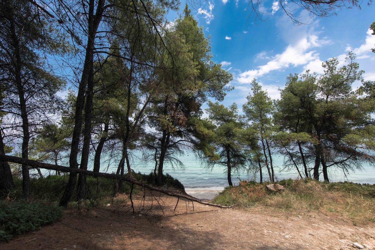 Kriopigi Pines By The Sea By Luxlikehome Криопиги Экстерьер фото